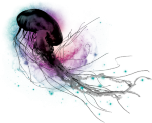 Jellyfish PNG-47040